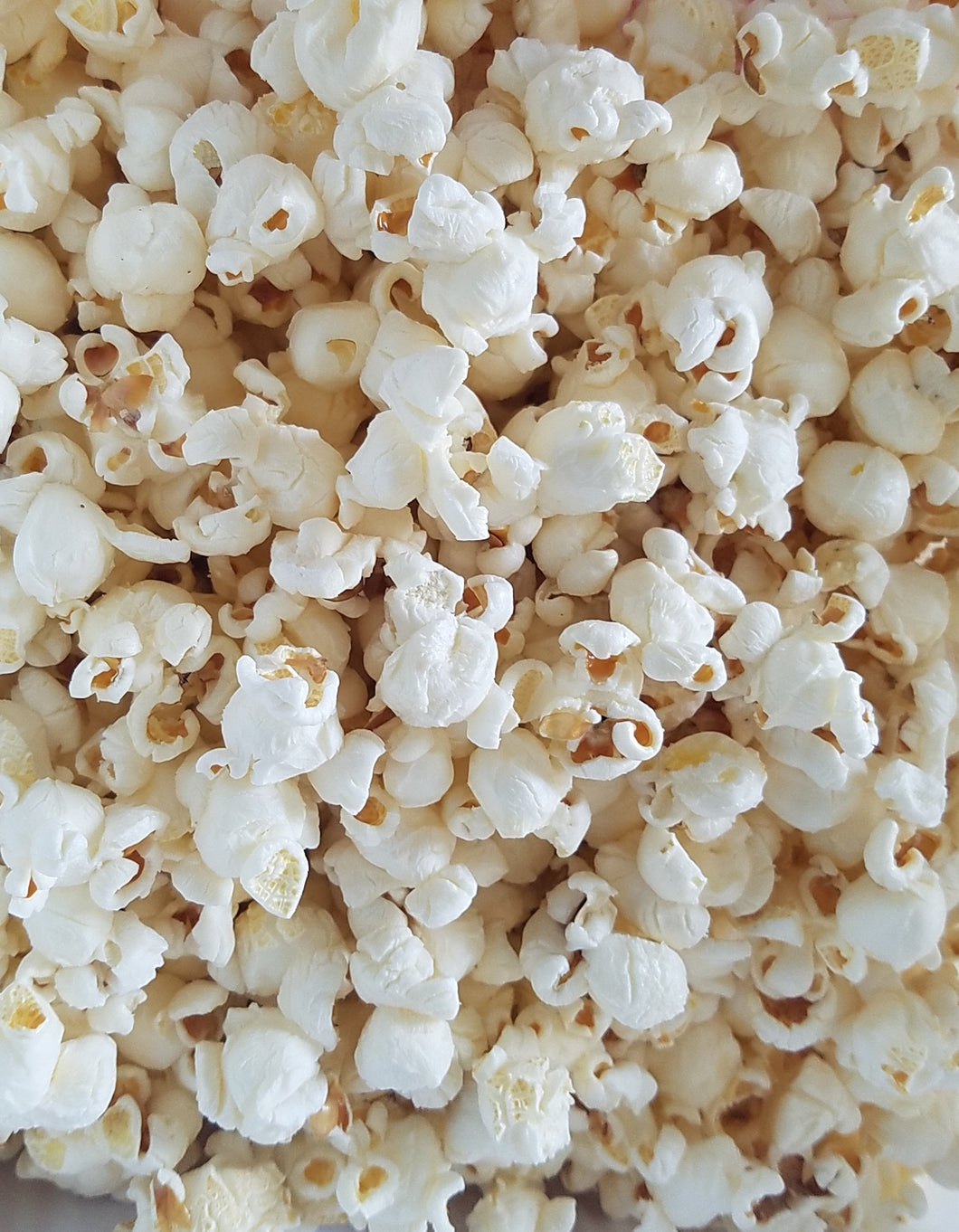 Simply Salted Popcorn